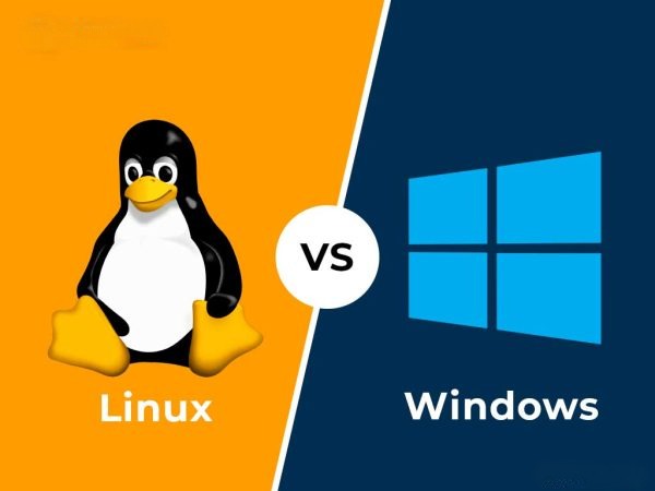 Разница между Linux и Windows 2 izobrazhenie 2025 06 24 183908938